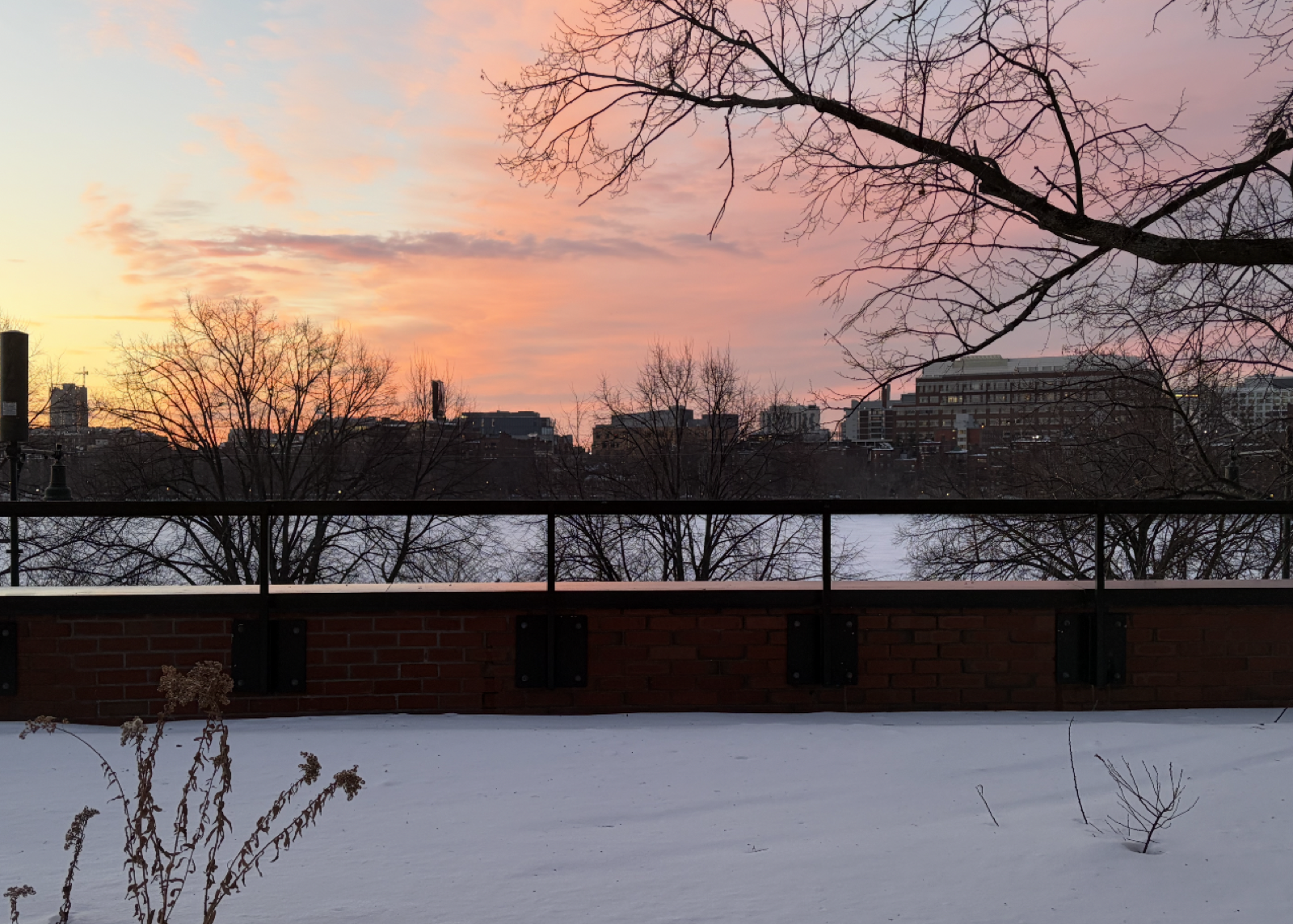 Boston Skyline Winter 2026.png