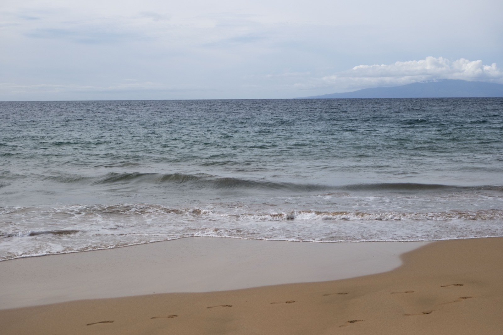 Hawaii Winter 2026.jpg