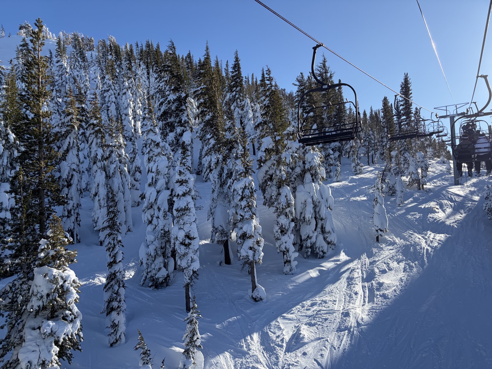 Tahoe Winter 2026.jpg